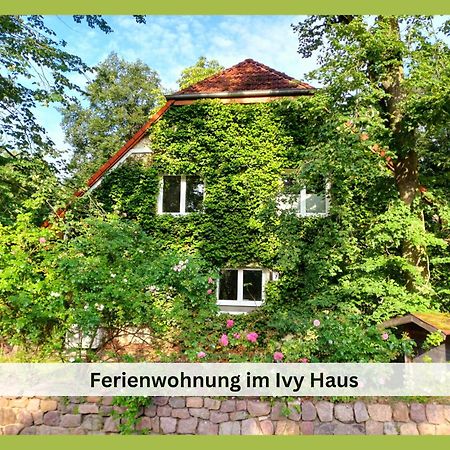 Апартаменты Ivy Haus Фалькензе Экстерьер фото